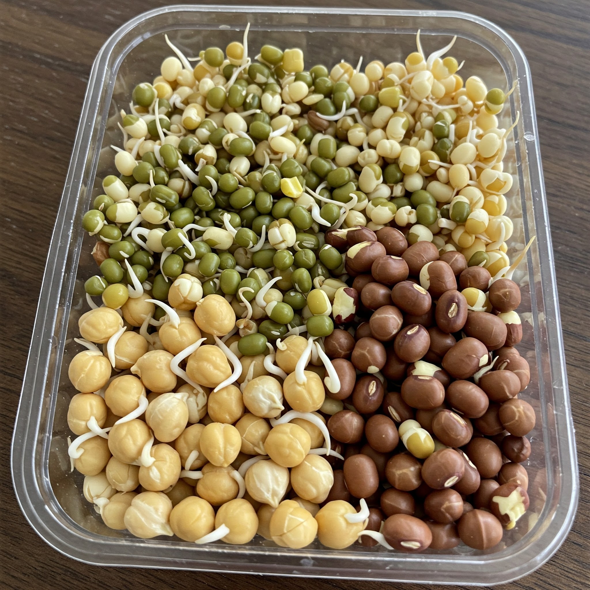Sprouts Mix - 250gms